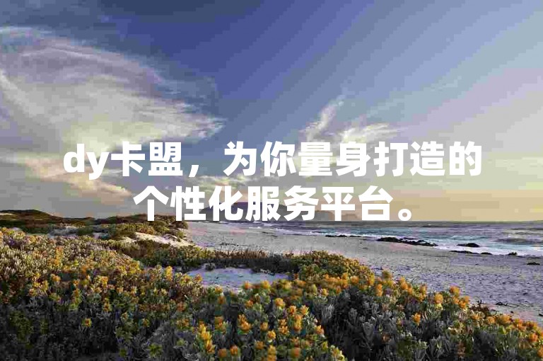 dy卡盟，为你量身打造的个性化服务平台。