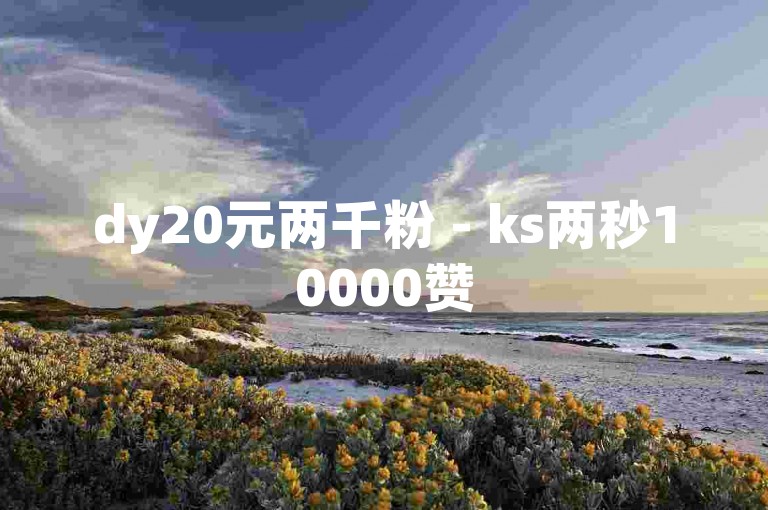 dy20元两千粉 - ks两秒10000赞