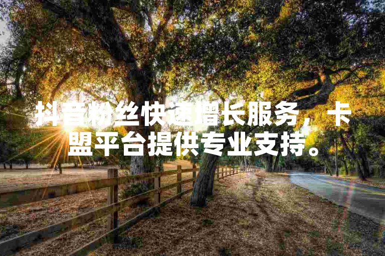 抖音粉丝快速增长服务，卡盟平台提供专业支持。
