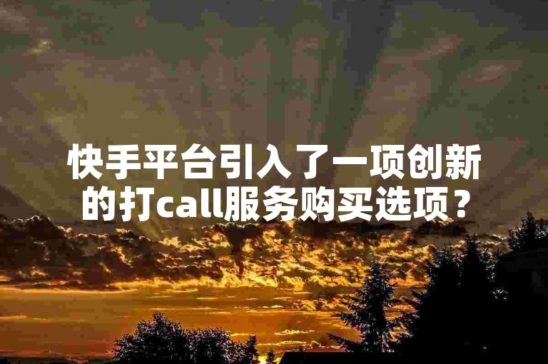 快手平台引入了一项创新的打call服务购买选项？