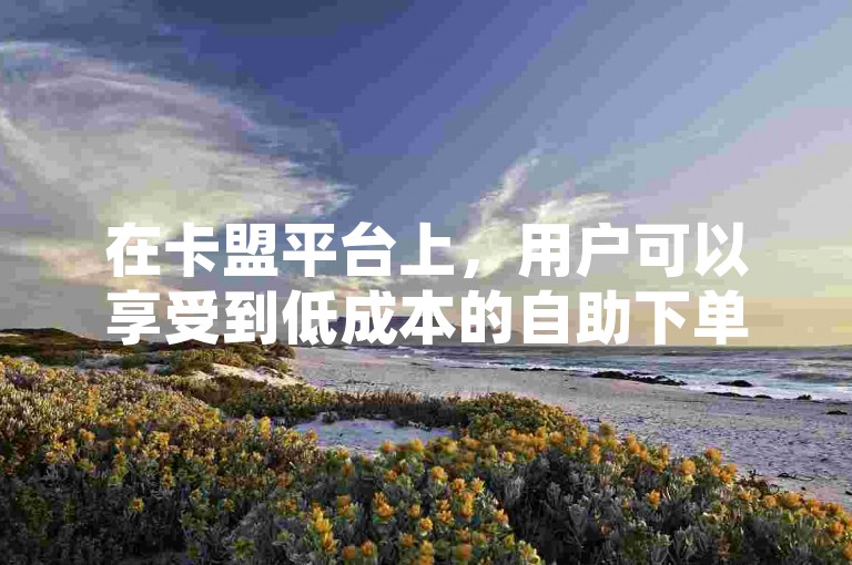 在卡盟平台上，用户可以享受到低成本的自助下单服务，无论是QQ空间的动态秒赞还是快手、抖音的视频点赞，都能通过这个24小时自助平台轻松实现。