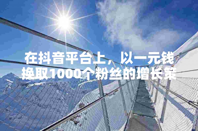 在抖音平台上，以一元钱换取1000个粉丝的增长策略，经过验证是切实可行的。
