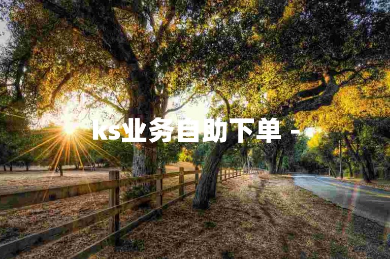 ks业务自助下单 - 500说说赞0.1