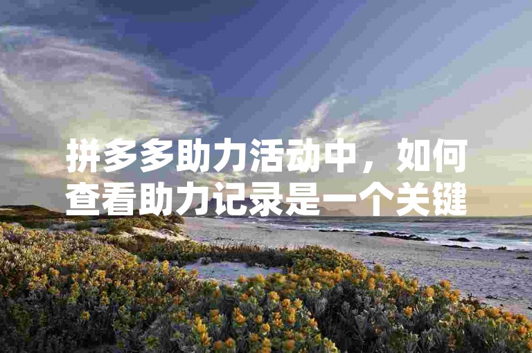 拼多多助力活动中，如何查看助力记录是一个关键步骤{拼多多助力刷人}。