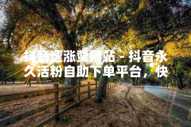 抖音速涨赞网站 - 抖音永久活粉自助下单平台，快速提升你的抖音影响力。