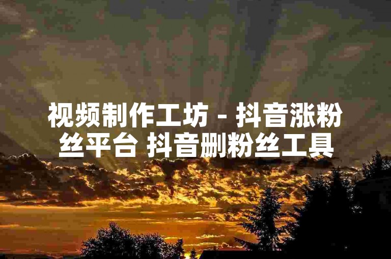视频制作工坊 - 抖音涨粉丝平台 抖音删粉丝工具