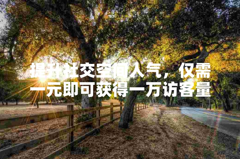 提升社交空间人气，仅需一元即可获得一万访客量的专业服务。