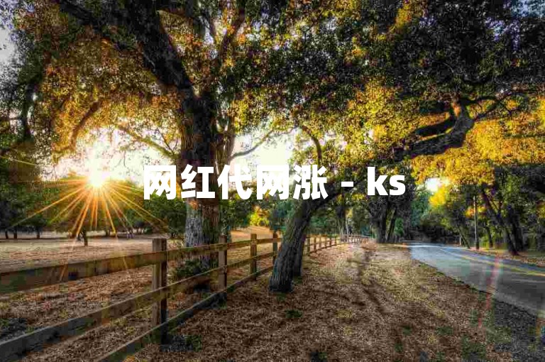 网红代网涨 - ks50赞自助平台下单价格是多少？