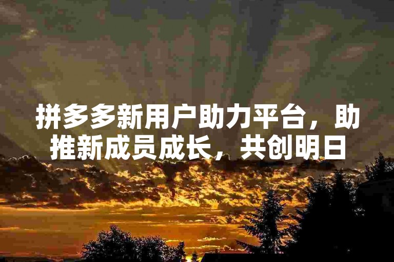 拼多多新用户助力平台，助推新成员成长，共创明日辉煌。