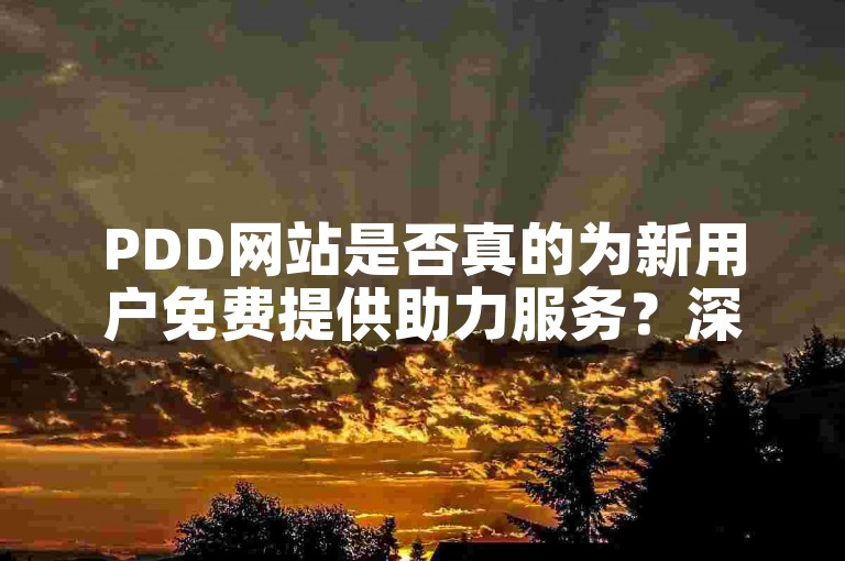 PDD网站是否真的为新用户免费提供助力服务？深入探究其背后的真实情况。