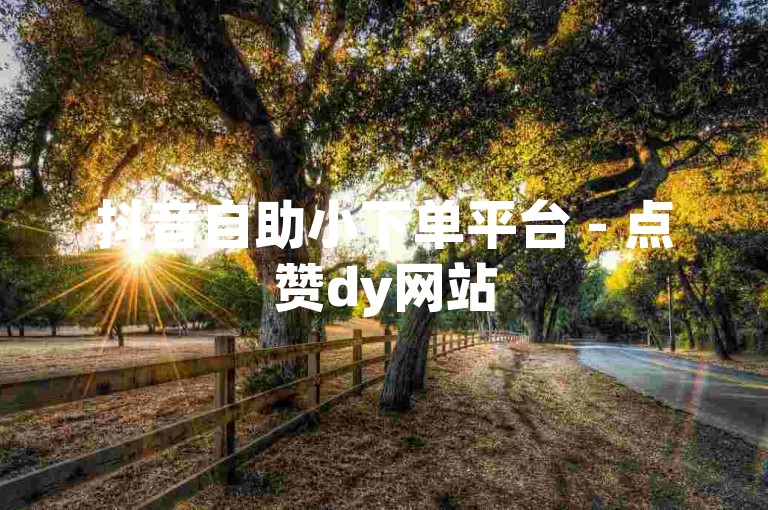 抖音自助小下单平台 - 点赞dy网站