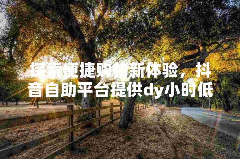探索便捷购物新体验，抖音自助平台提供dy小时低价自助下单服务，让在线购物更加轻松愉快。