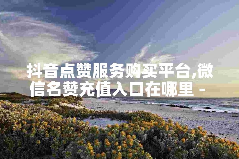 抖音点赞服务购买平台,微信名赞充值入口在哪里 - 抖音优惠活动区 - 全天候自动下单在线商城