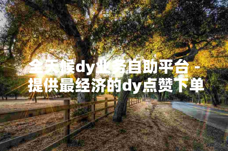 全天候dy业务自助平台 - 提供最经济的dy点赞下单服务