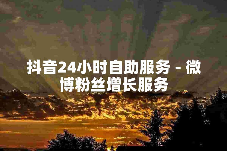 抖音24小时自助服务 - 微博粉丝增长服务