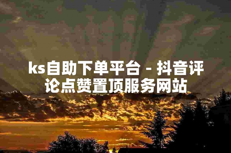 ks自助下单平台 - 抖音评论点赞置顶服务网站