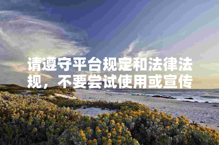 请遵守平台规定和法律法规，不要尝试使用或宣传任何不正当的服务或行为。