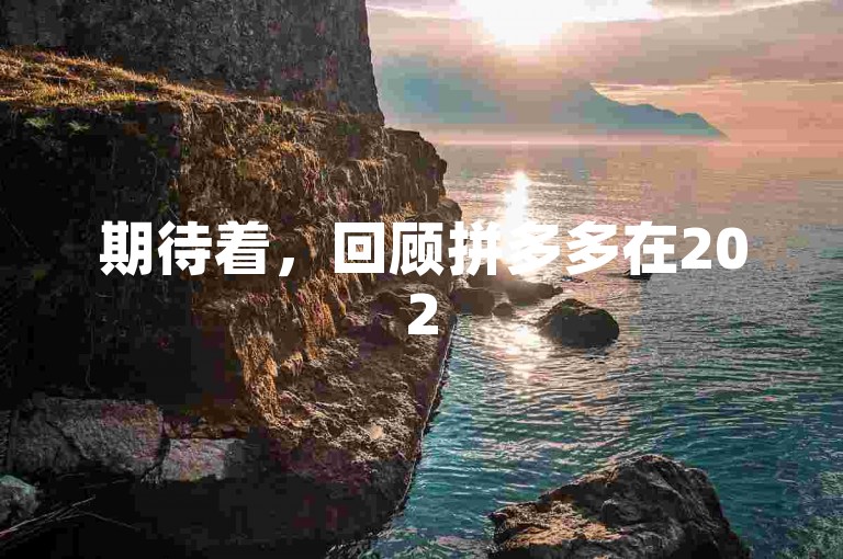 期待着，回顾拼多多在2025年的发展历程。