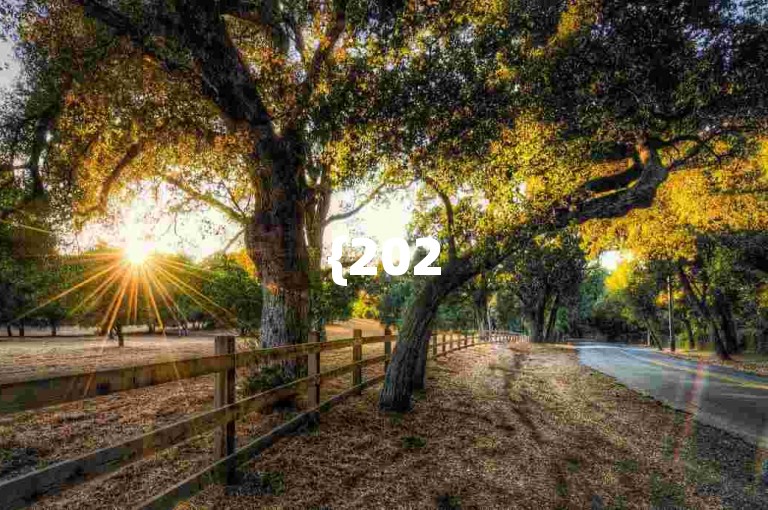 {2025多多助力群}拼多多互帮互助微信群最近有哪些新动态？