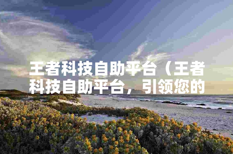 王者科技自助平台（王者科技自助平台，引领您的科技创新）