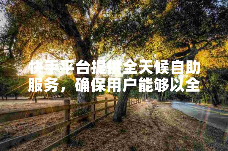 快手平台提供全天候自助服务，确保用户能够以全网最低价格享受到免费业务。