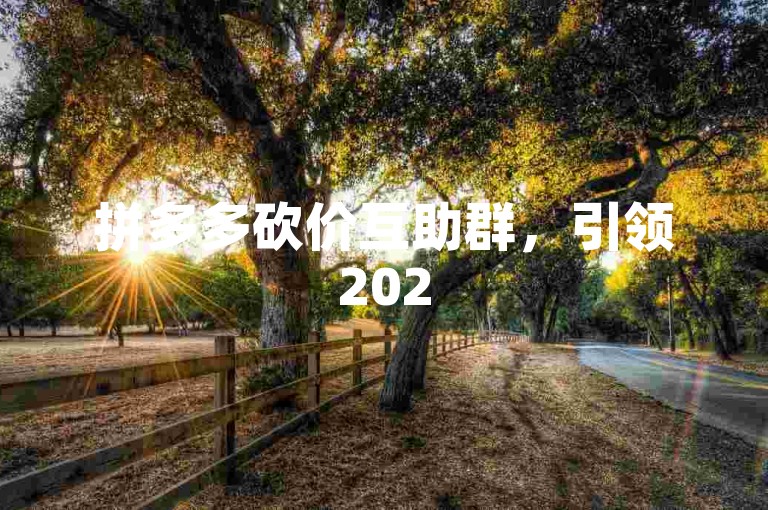 拼多多砍价互助群，引领2025年社交新风尚。