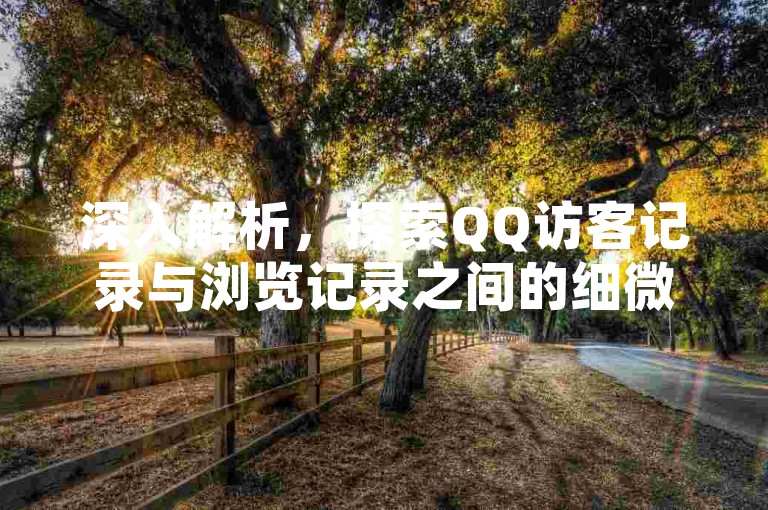 深入解析，探索QQ访客记录与浏览记录之间的细微差别，为您揭开2025年必备的知识宝典！