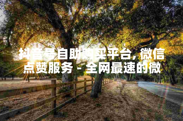 抖音号自助购买平台, 微信点赞服务 - 全网最速的微信业务处理 - 卡盟网站排名领先者。