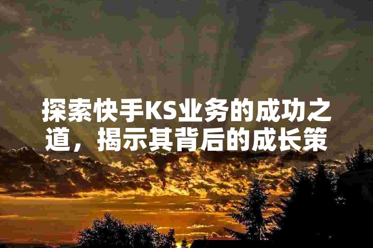 探索快手KS业务的成功之道，揭示其背后的成长策略与卓越操作。