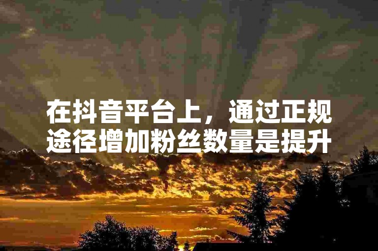 在抖音平台上，通过正规途径增加粉丝数量是提升账号影响力的关键，而非寻求非官方的热度购买服务。