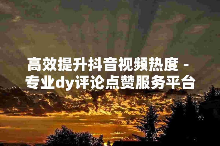 高效提升抖音视频热度 - 专业dy评论点赞服务平台助力