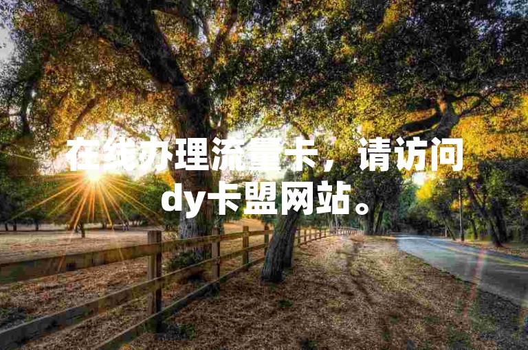 在线办理流量卡，请访问dy卡盟网站。