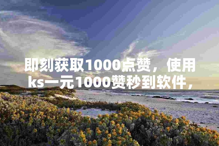 即刻获取1000点赞，使用ks一元1000赞秒到软件，享受免费自助下单的便捷服务。