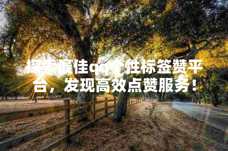探索最佳qq个性标签赞平台，发现高效点赞服务！