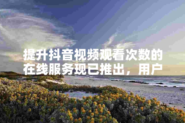 提升抖音视频观看次数的在线服务现已推出，用户可通过专属平台轻松购买播放量。