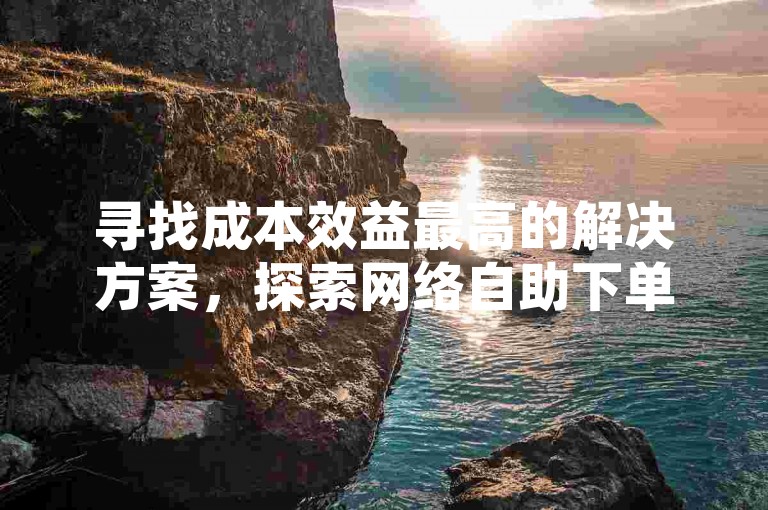 寻找成本效益最高的解决方案，探索网络自助下单服务的新选择。