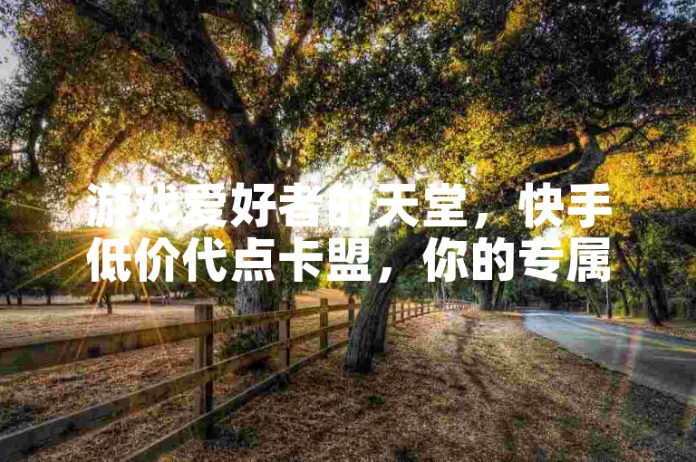 游戏爱好者的天堂，快手低价代点卡盟，你的专属游戏充值乐园。