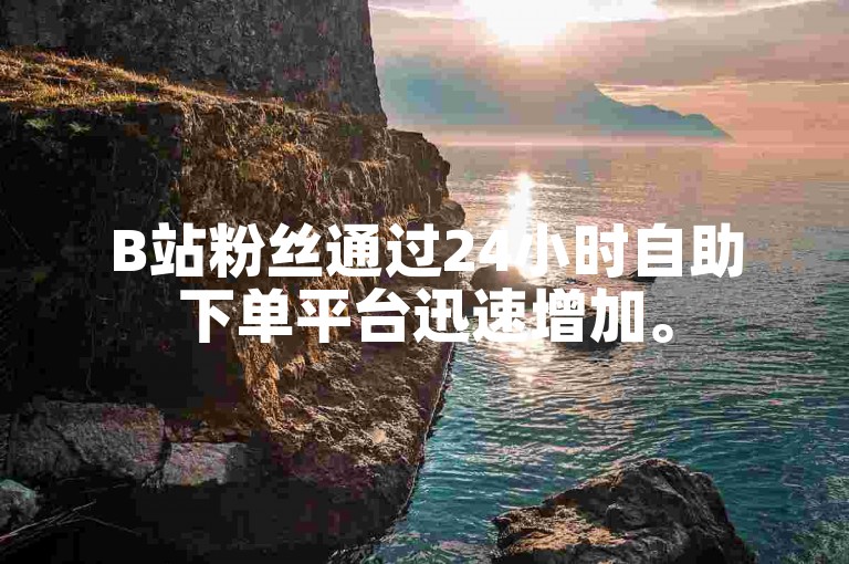 B站粉丝通过24小时自助下单平台迅速增加。
