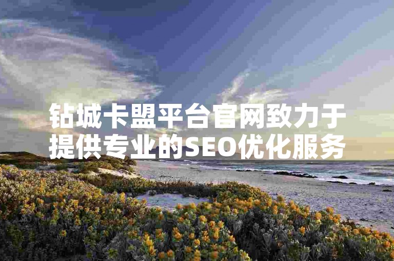 钻城卡盟平台官网致力于提供专业的SEO优化服务，助力网站排名提升。