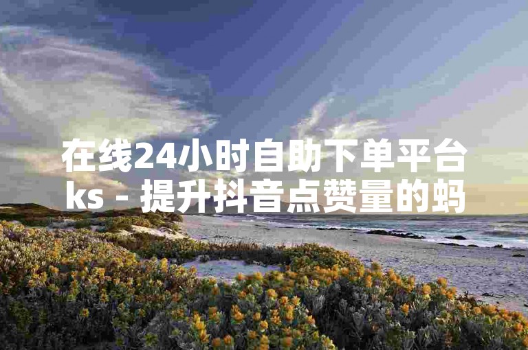 在线24小时自助下单平台ks - 提升抖音点赞量的蚂蚁网站