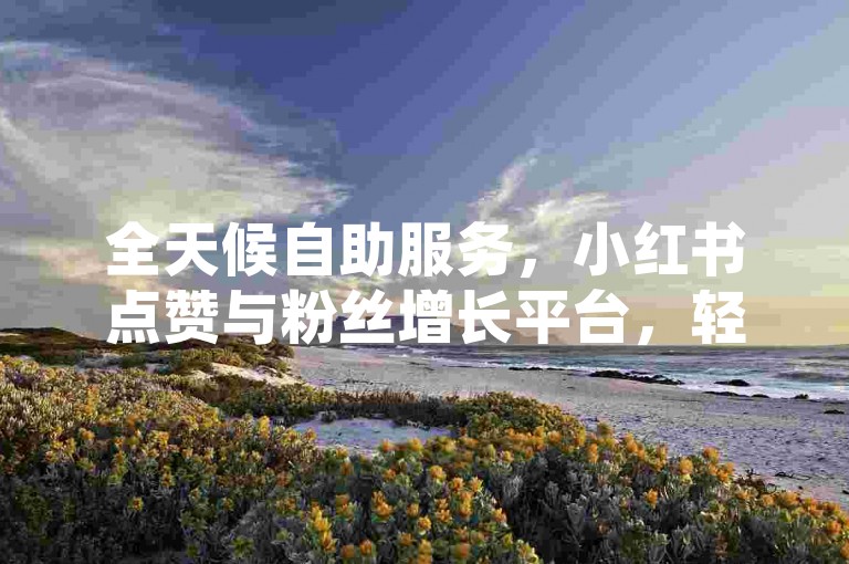全天候自助服务，小红书点赞与粉丝增长平台，轻松获取50个赞。