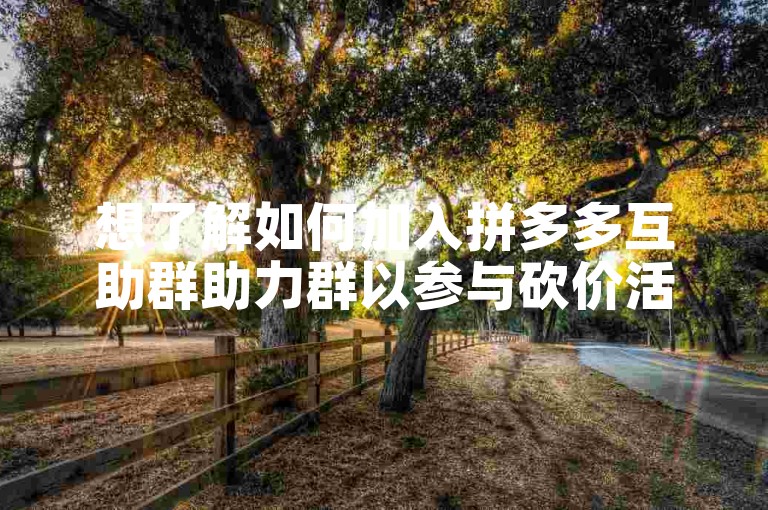 想了解如何加入拼多多互助群助力群以参与砍价活动吗？