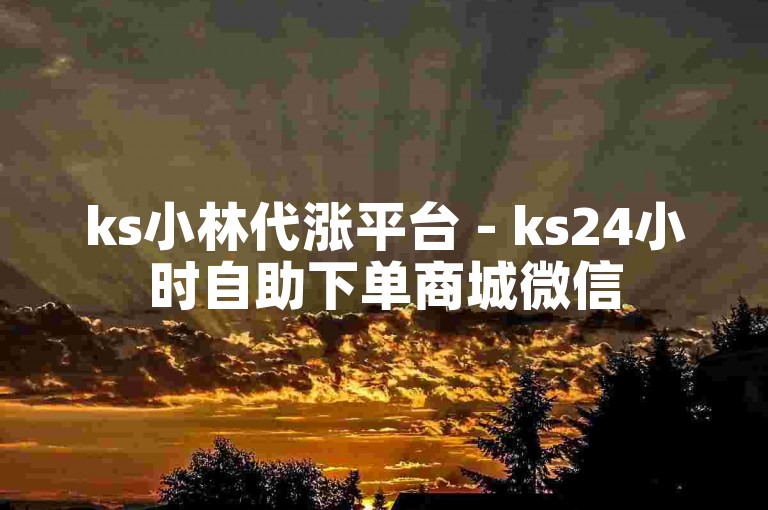 ks小林代涨平台 - ks24小时自助下单商城微信