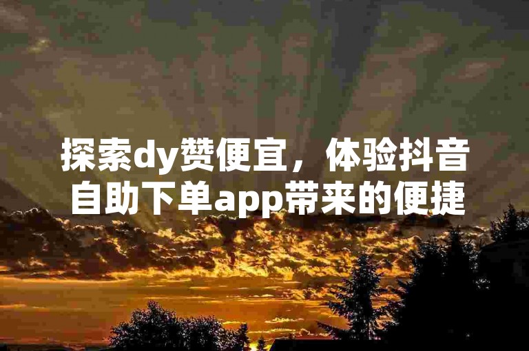 探索dy赞便宜，体验抖音自助下单app带来的便捷与高效。