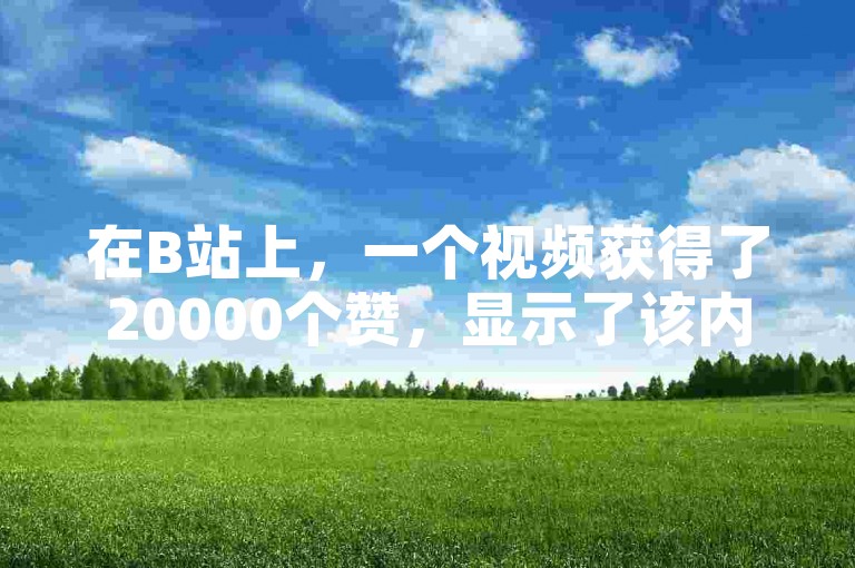 在B站上，一个视频获得了20000个赞，显示了该内容在粉丝业务平台上的受欢迎程度。