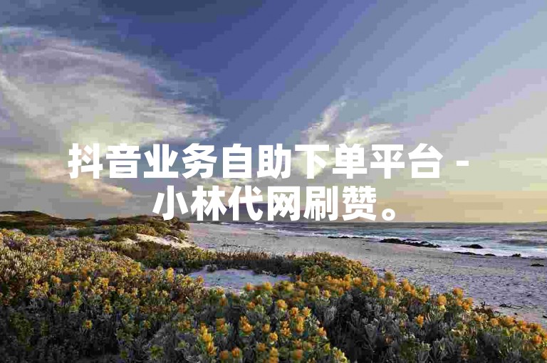 抖音业务自助下单平台 - 小林代网刷赞。