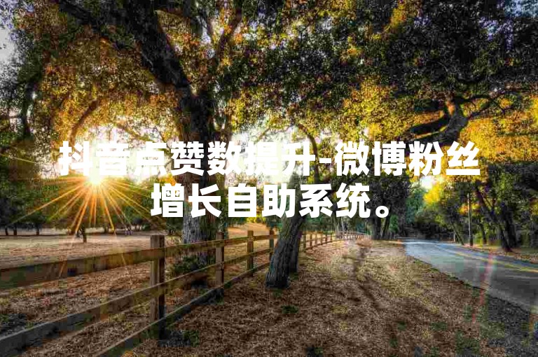 抖音点赞数提升-微博粉丝增长自助系统。