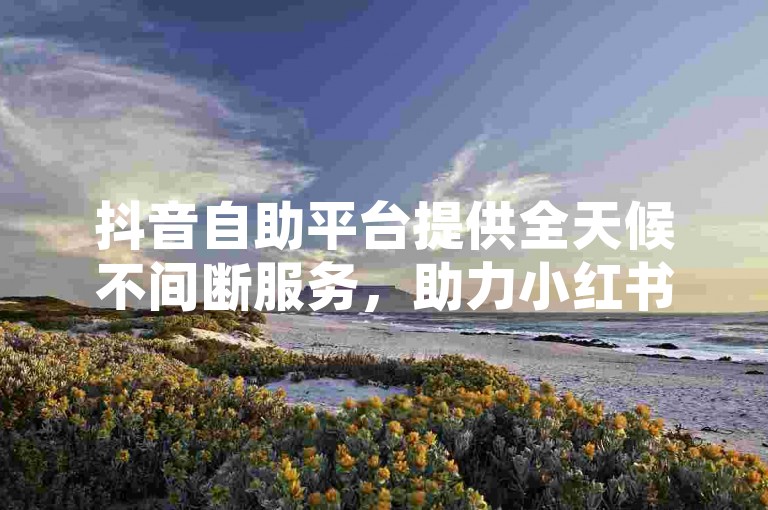 抖音自助平台提供全天候不间断服务，助力小红书粉丝数量快速增长。