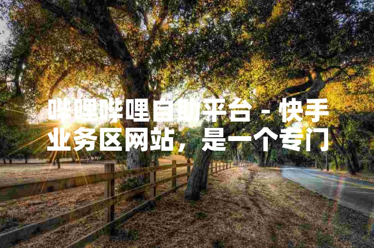 哔哩哔哩自助平台 - 快手业务区网站，是一个专门为快手用户提供便捷服务的平台。