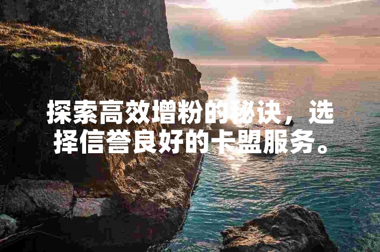 探索高效增粉的秘诀，选择信誉良好的卡盟服务。